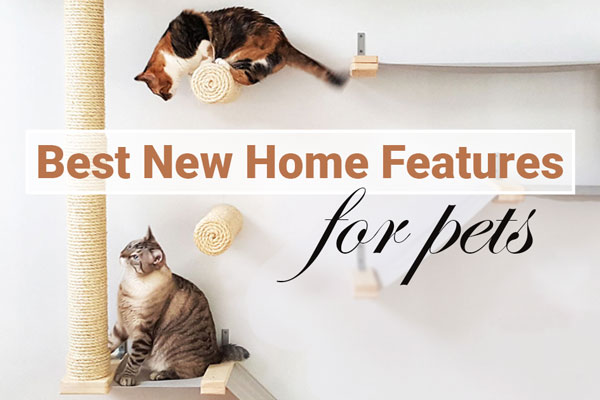 home features for pets