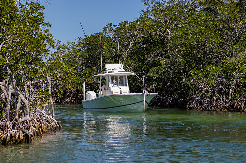 Port Charlotte recreation